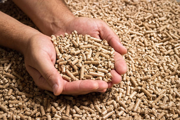 Holzpellets