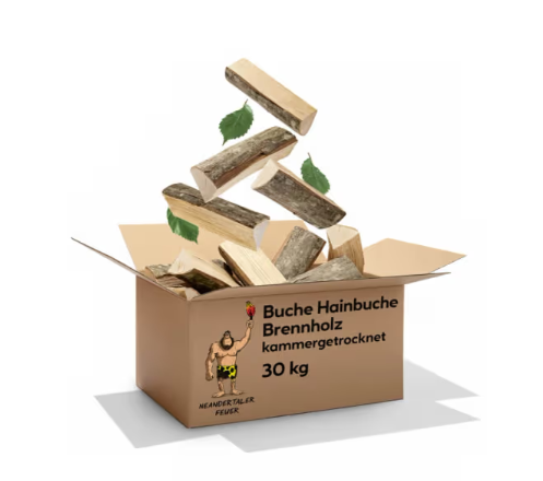 Brennholz Buche Hainbuche 300kg